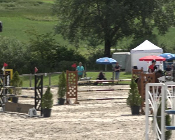 Reitturnier Rothenfluh 2021