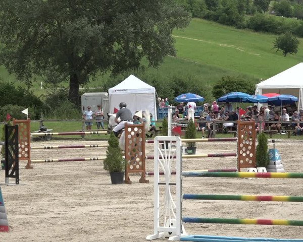 Reitturnier Rothenfluh 2021