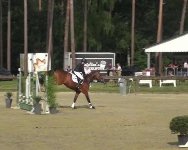 Reitturnier Rhede 2021