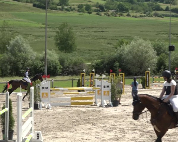 Reitturnier Rothenfluh 2021