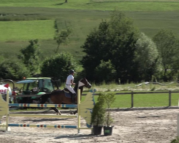 Reitturnier Rothenfluh 2021