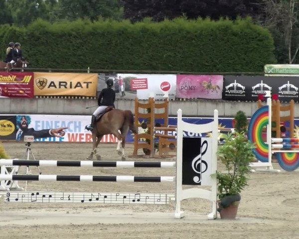 Reitturnier Melle-Ostenfelde 2021