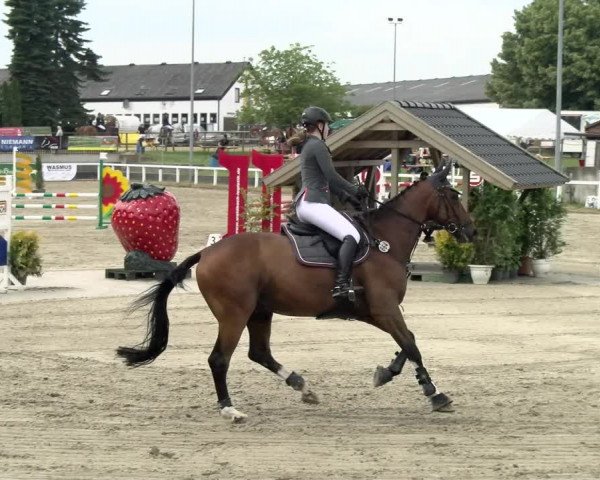 Reitturnier Melle-Ostenfelde 2021