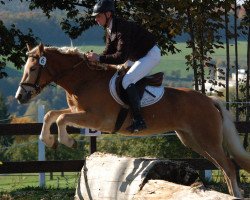 broodmare No Bless vom Eschachtal (Edelbluthaflinger, 2010, from Nekoma II (2,34% ox))