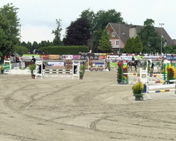 Reitturnier Melle-Ostenfelde 2021