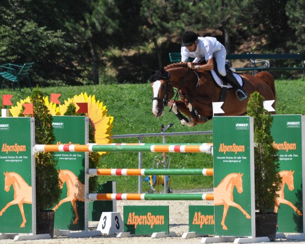 broodmare Lucky Lou 19 (Westphalian, 2005, from Lupicor)
