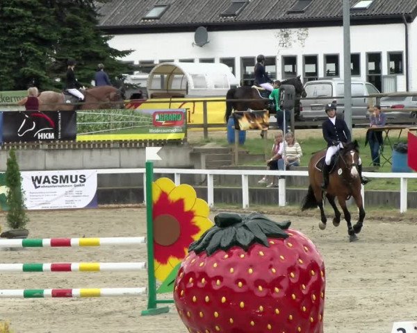 Reitturnier Melle-Ostenfelde 2021