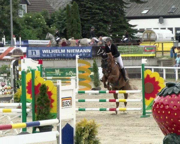 Reitturnier Melle-Ostenfelde 2021