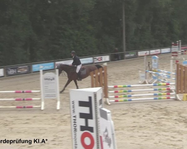 Reitturnier Uder, Reitanlage Kobold 2021