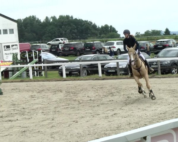 Reitturnier Melle-Ostenfelde 2021