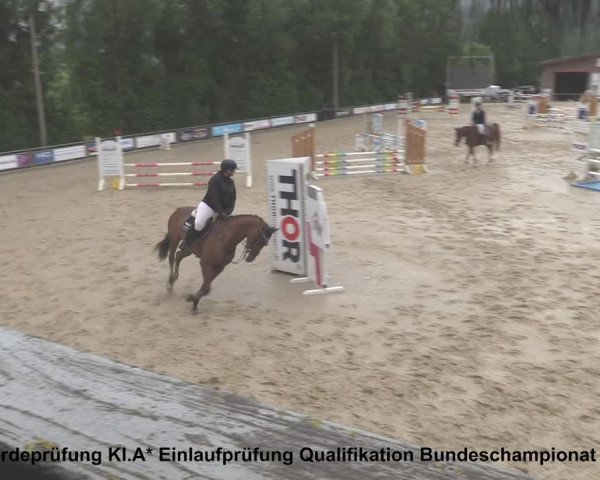 Reitturnier Uder, Reitanlage Kobold 2021