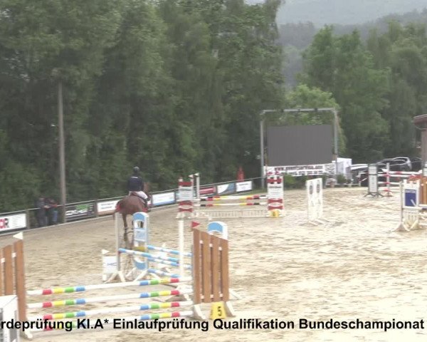 Reitturnier Uder, Reitanlage Kobold 2021