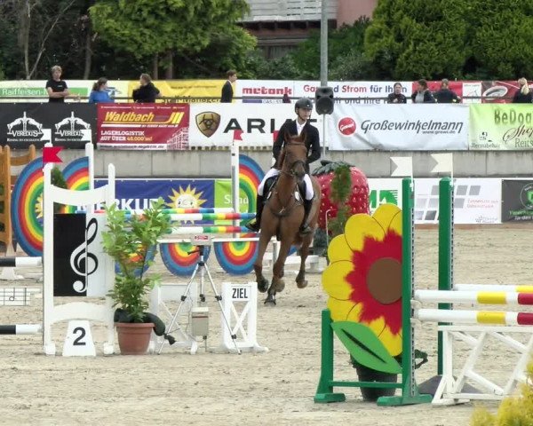 Reitturnier Melle-Ostenfelde 2021