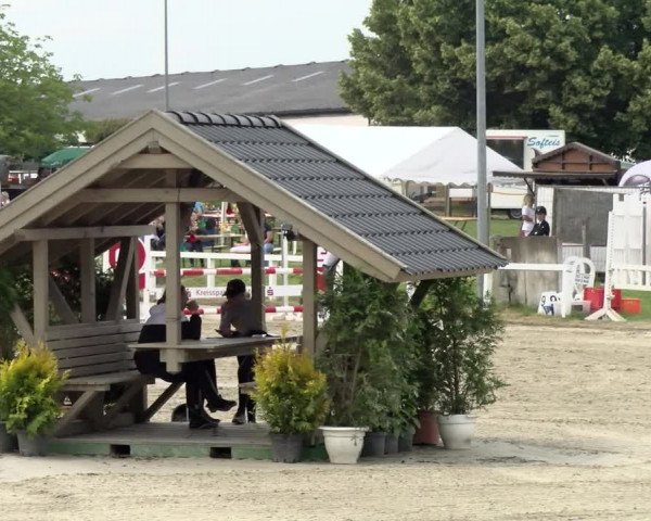 Reitturnier Melle-Ostenfelde 2021