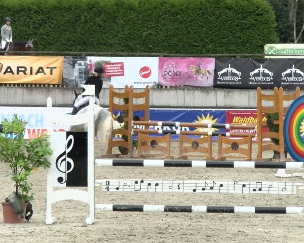 Reitturnier Melle-Ostenfelde 2021