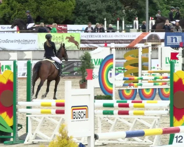 Reitturnier Melle-Ostenfelde 2021