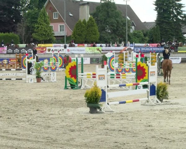 Reitturnier Melle-Ostenfelde 2021