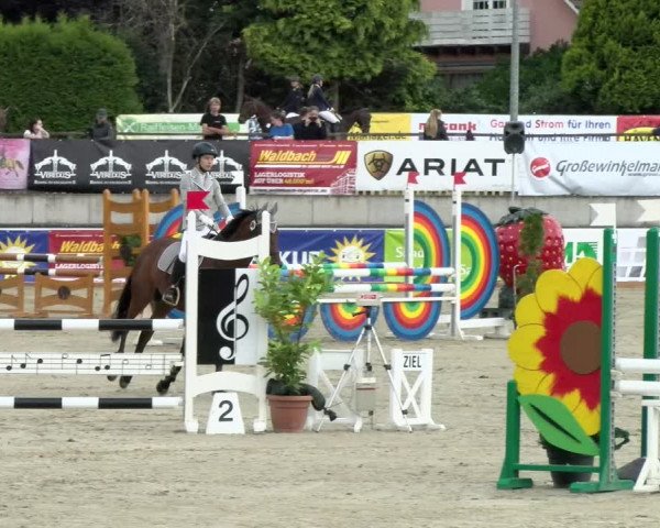 Reitturnier Melle-Ostenfelde 2021