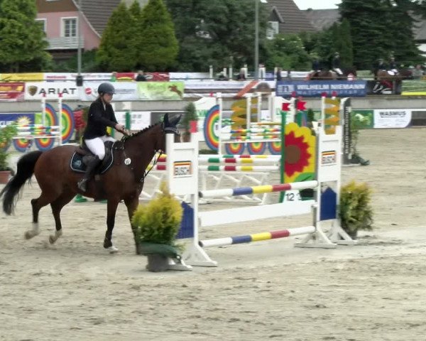 Reitturnier Melle-Ostenfelde 2021