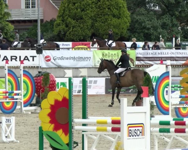 Reitturnier Melle-Ostenfelde 2021