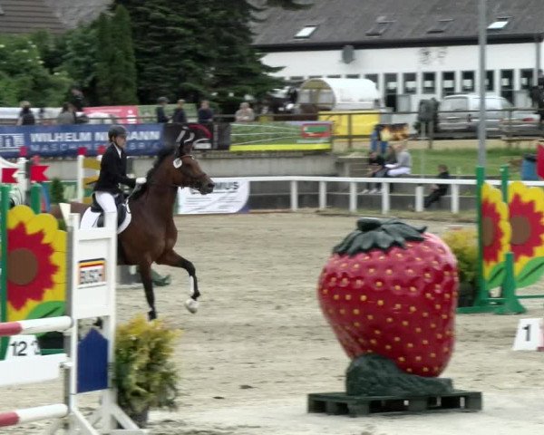 Reitturnier Melle-Ostenfelde 2021