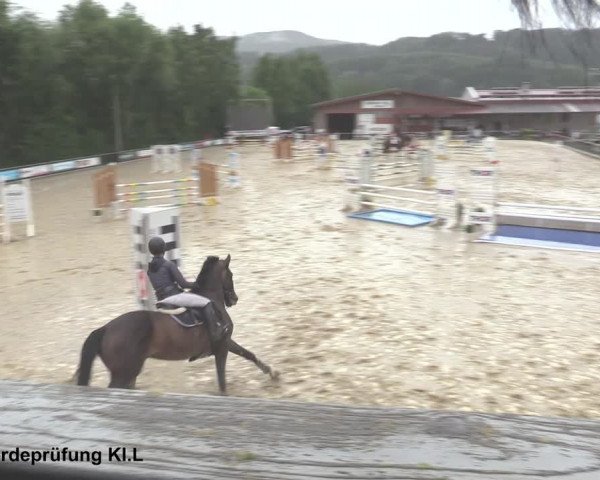 Reitturnier Uder, Reitanlage Kobold 2021