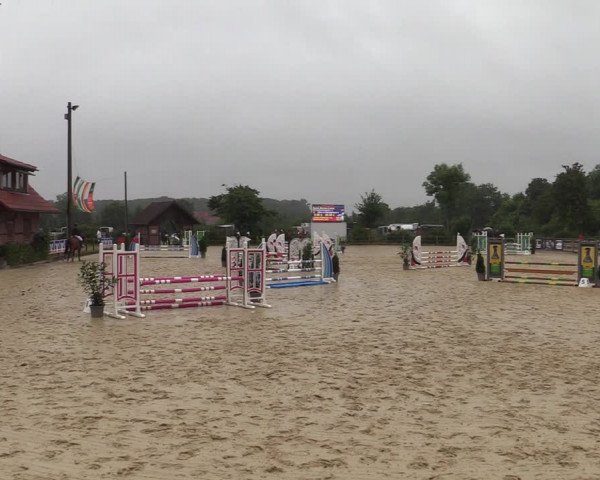 Reitturnier Münster-Nienberge 2021