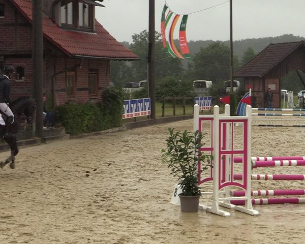 Reitturnier Münster-Nienberge 2021