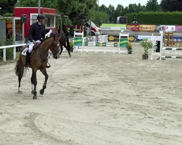 Reitturnier Melle-Ostenfelde 2021