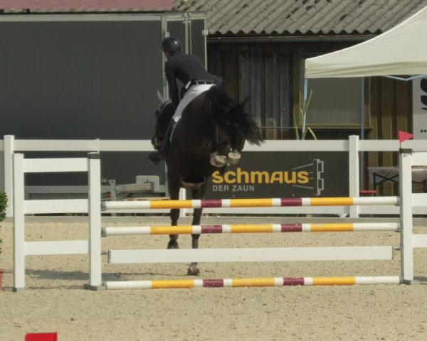 Springturnier Memmingen 2021