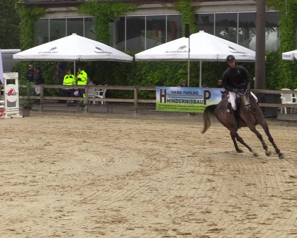 Reitturnier Münster-Nienberge 2021
