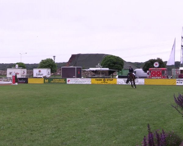Reitturnier Dersekow 2021
