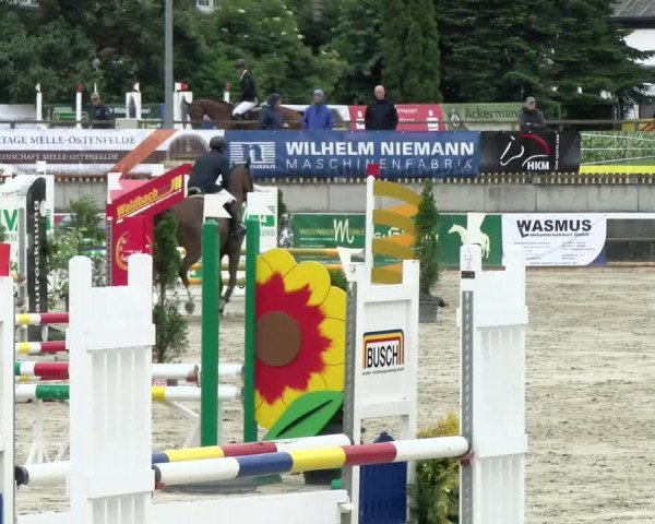 Reitturnier Melle-Ostenfelde 2021