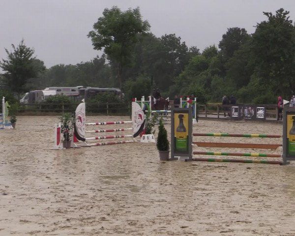 Reitturnier Münster-Nienberge 2021