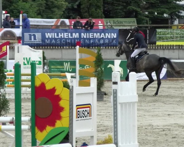 Reitturnier Melle-Ostenfelde 2021