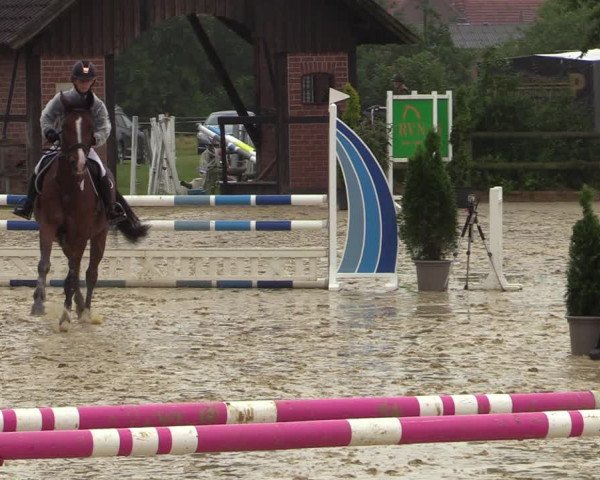 Reitturnier Münster-Nienberge 2021
