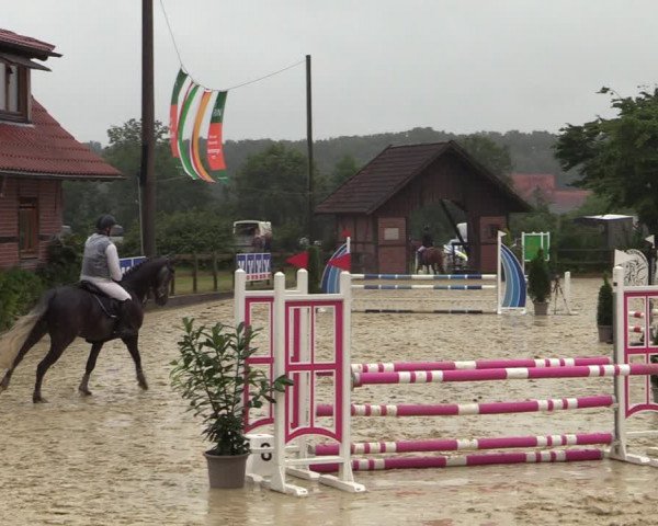 Reitturnier Münster-Nienberge 2021