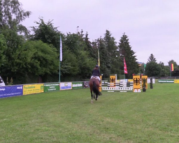 Reitturnier Dersekow 2021