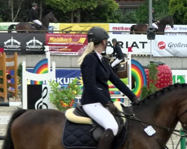Reitturnier Melle-Ostenfelde 2021