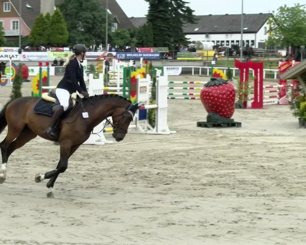 Reitturnier Melle-Ostenfelde 2021
