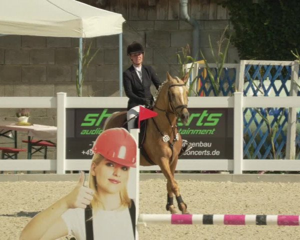 Springturnier Memmingen 2021
