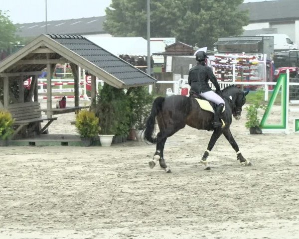 Reitturnier Melle-Ostenfelde 2021