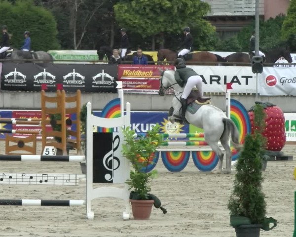 Reitturnier Melle-Ostenfelde 2021