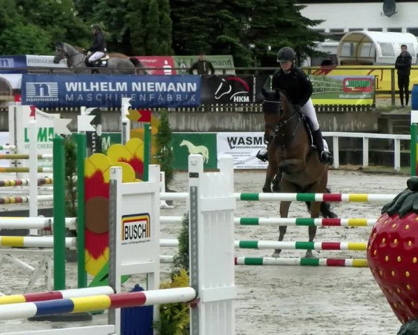 Reitturnier Melle-Ostenfelde 2021