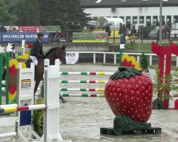 Reitturnier Melle-Ostenfelde 2021
