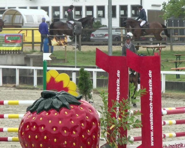 Reitturnier Melle-Ostenfelde 2021