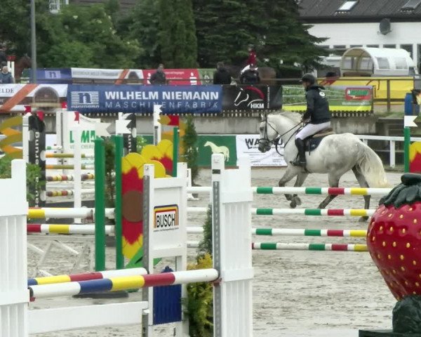 Reitturnier Melle-Ostenfelde 2021