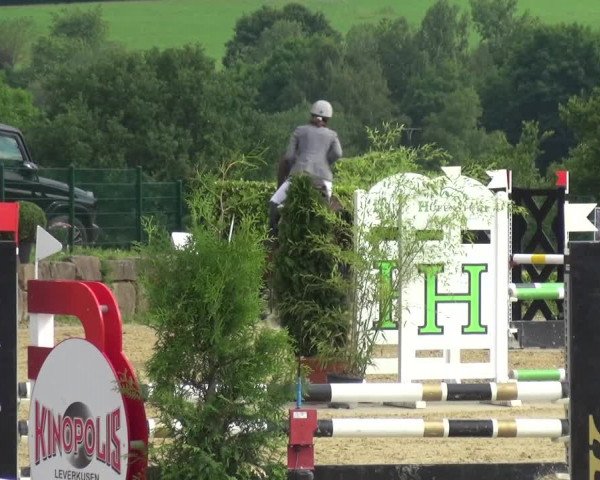 Reitturnier Lindlar-Süttenbach 2021