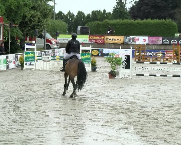 Reitturnier Melle-Ostenfelde 2021