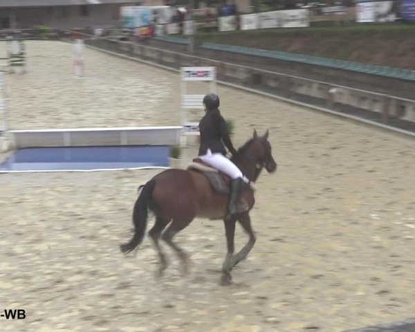 Reitturnier Uder, Reitanlage Kobold 2021